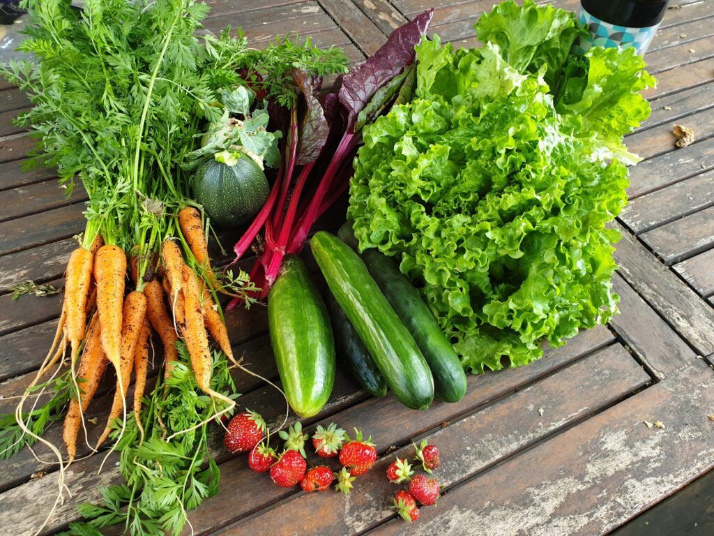 closeup of vegetables