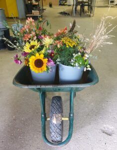 wheelbarrow of flowers