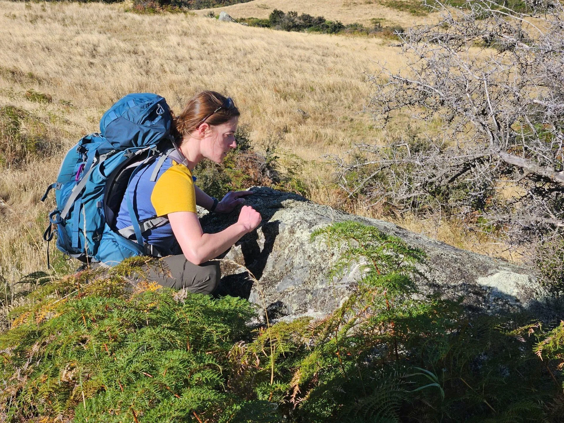 Tricia Collins observes a boulder, checking for signs that indicate it would be worth sampling. It’s crucial that researchers choose a good surface, so they can get accurate ages for moraines. (Louise Kim / Medill Reports)