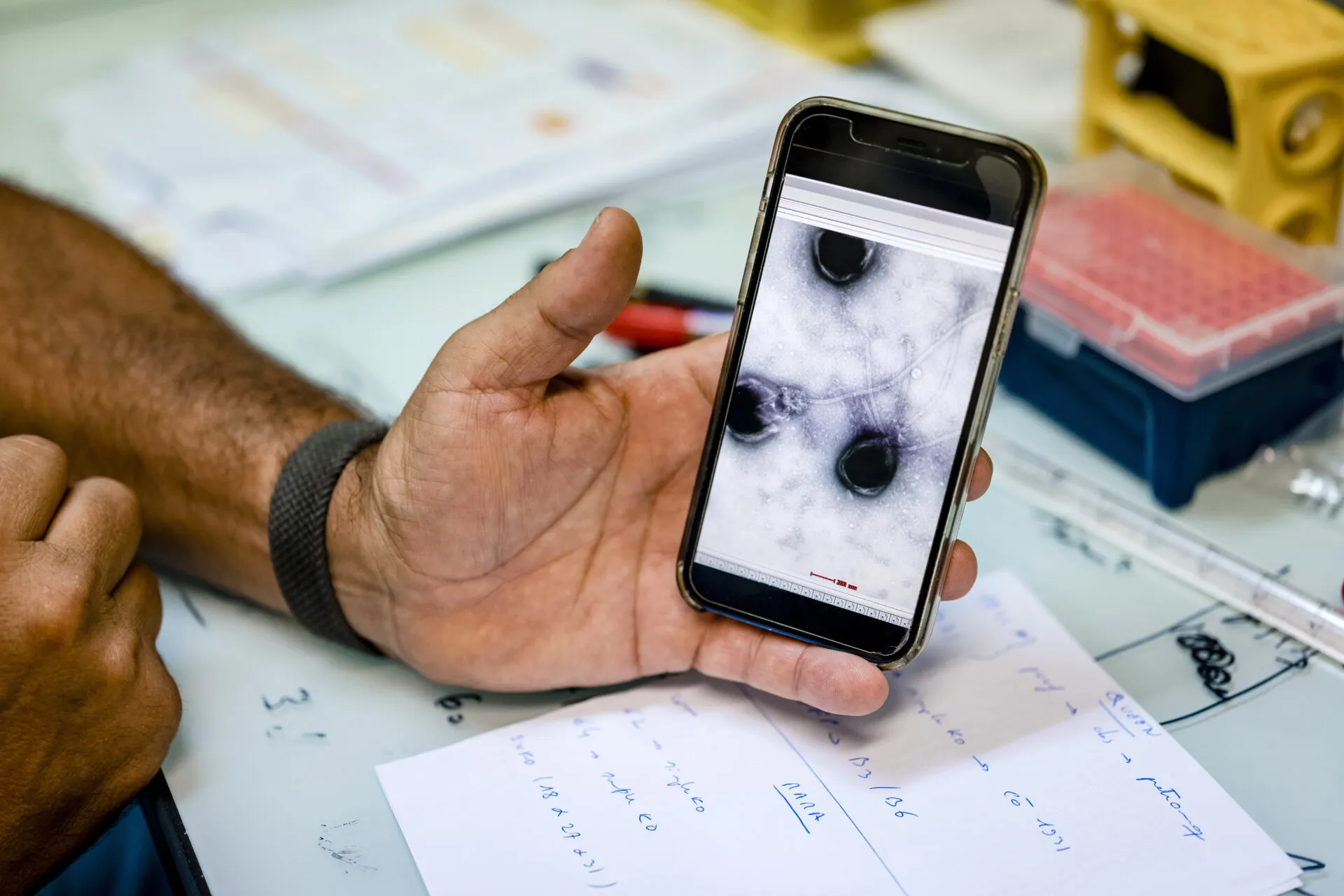 A member of Jean-Michel Claverie's research team displays a sample on their phone in a lab at the Information Gnomic and Structural Center of Aix-Marseille University in Marseille, France. <span class="credit">Jeremy Suykur/Bloomberg via Getty Images</span>