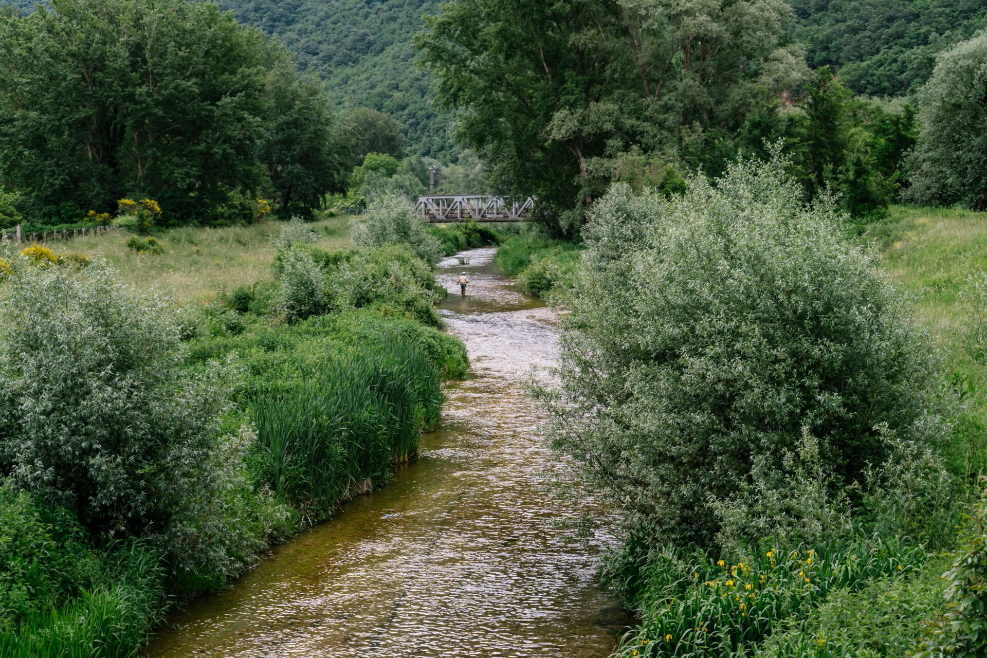 rome-water-DSC07492