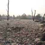 Plastic litters the ground and there are a few bare trees