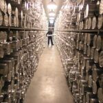 many rows of ice cores in storage