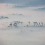 smoke from Amazon wildfire