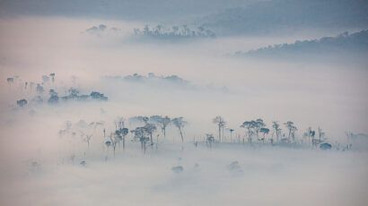 smoke from Amazon wildfire