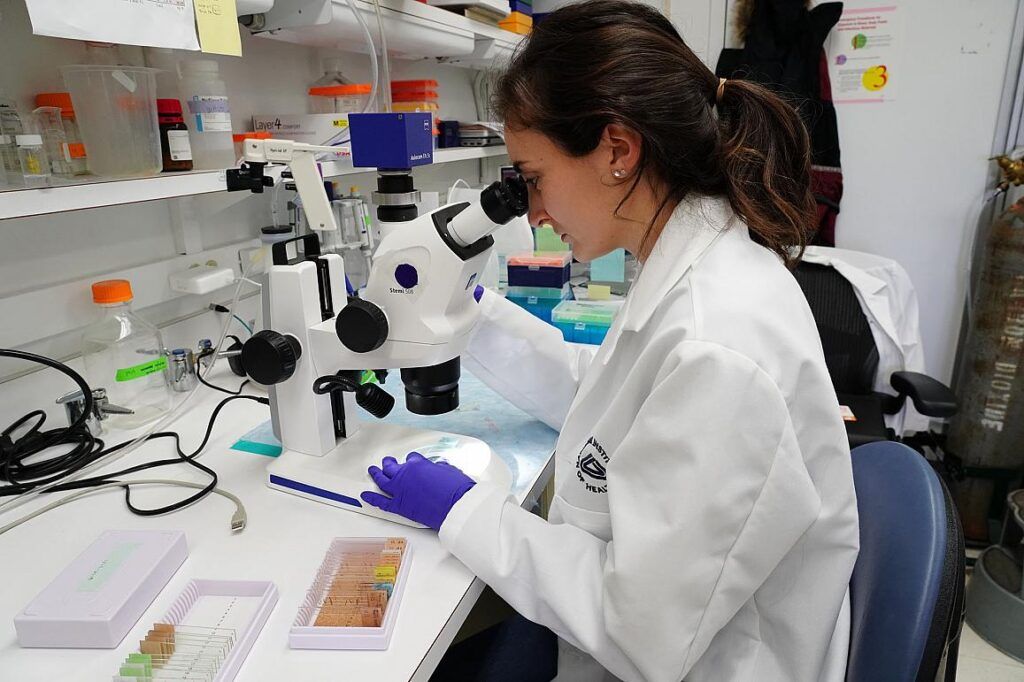 scientist at microscope
