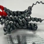 model of molecule
