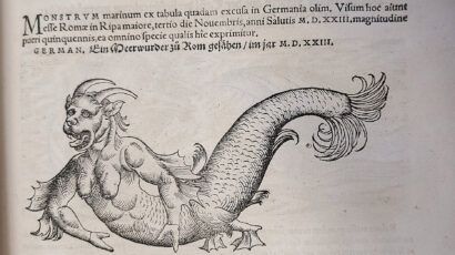 fantasy beast chimera