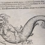fantasy beast chimera