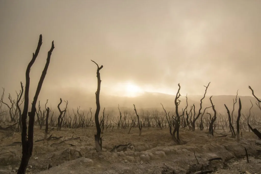 A barren landscape with dry, leafless trees and dusty ground under a hazy sky with the sun partially visible.