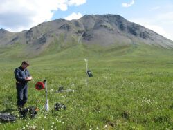 permafrost researcher Vladimir Romanovsky on Alaska's North Slope