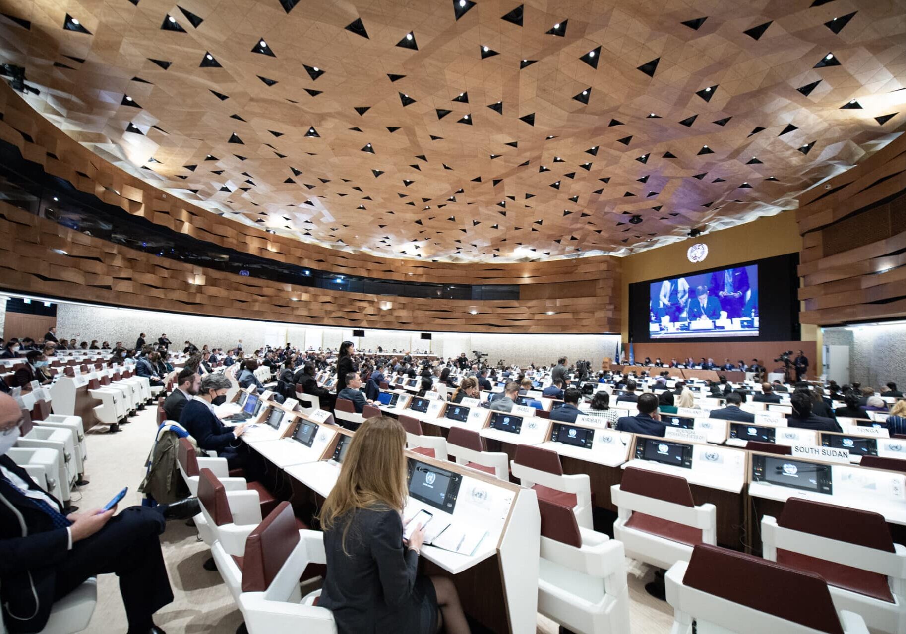 Ninth Review Conference of the BWC, Palais des Nations. (UN photo, Violaine Martin)
