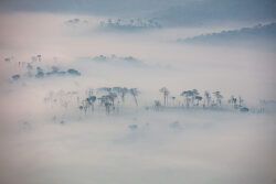 smoke from Amazon wildfire