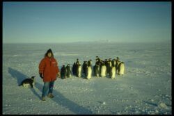 Sue Solomon in Antarctica with penguins