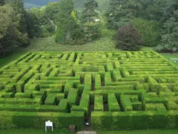 garden maze at Scottish estate