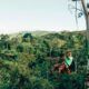 man on zipline in front of jungle