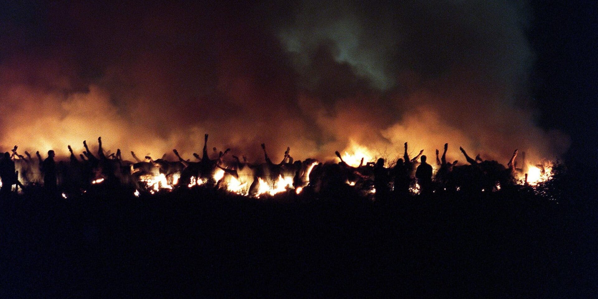 The British Ministry of Agriculture built funeral pyres for cows, like this one in Great Warley, Essex, during the foot and mouth disease crisis in February 2001. Photo by Tony Kyriacou / Shutterstock